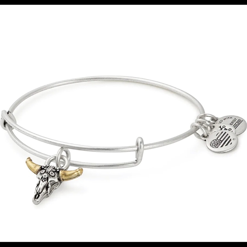 ALEX AND ANI Spirited Skull Charm Bracelet